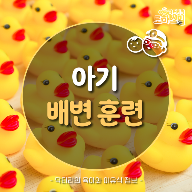  우리 아기 배변 훈련 시기와 배변 훈련 교육!