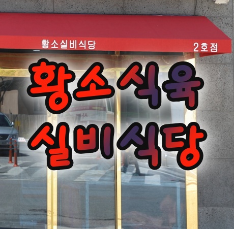 하이원맛집 정선한우 하이원리조트근처 황소실비식당 깔끔하고 맛나요.