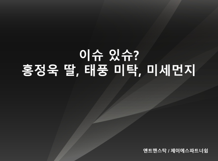  홍정욱 딸, 태풍 미탁, 미세먼지