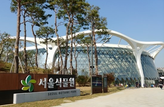  10월1일 마곡 뉴스