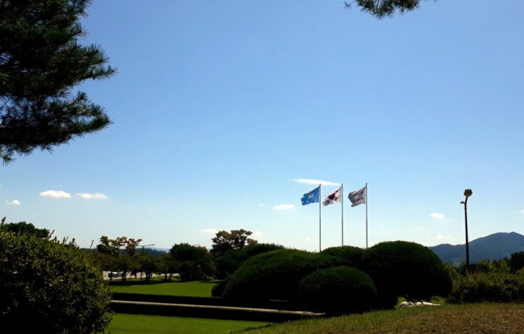 [豊基 日記] 동양대학교