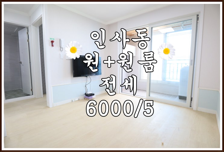  ️진주 원플원 / 진주 인사동 원플원 신축 올전세️