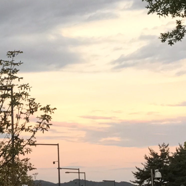  9월 일기