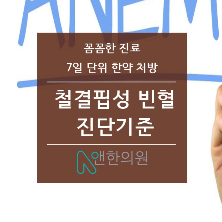철결핍성 빈혈 수치에 대한 정리입니다.
