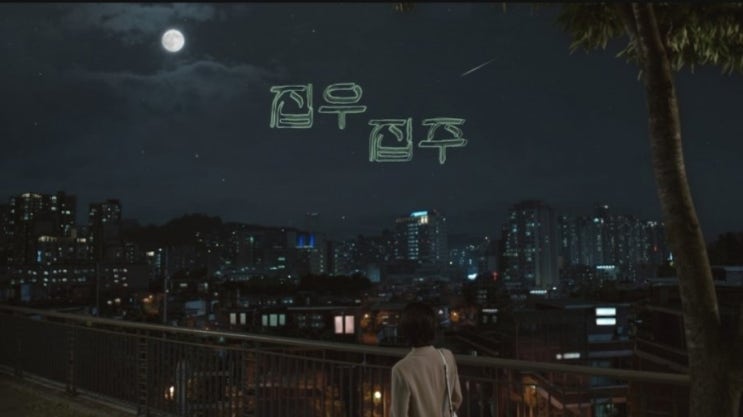  2019 드라마 스페셜 집우 집주