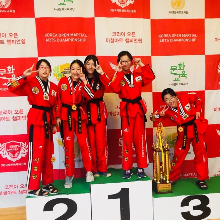 코리아오픈 마샬아트챔피언쉽