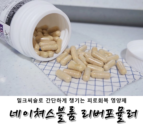  밀크씨슬로 간단하게 챙기는 <네이쳐스블룸 리버포뮬러> 피로회복영양제 복용후기