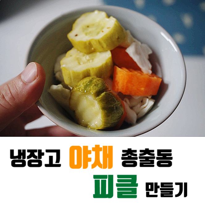  냉장고 야채 총출동 수제 피클 만들기 해봐요