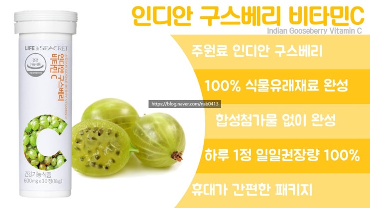  [자연에서 찾은 비타민]>>인디안 구스베리 비타민C (Indian Gooseberry Vitamin C)
