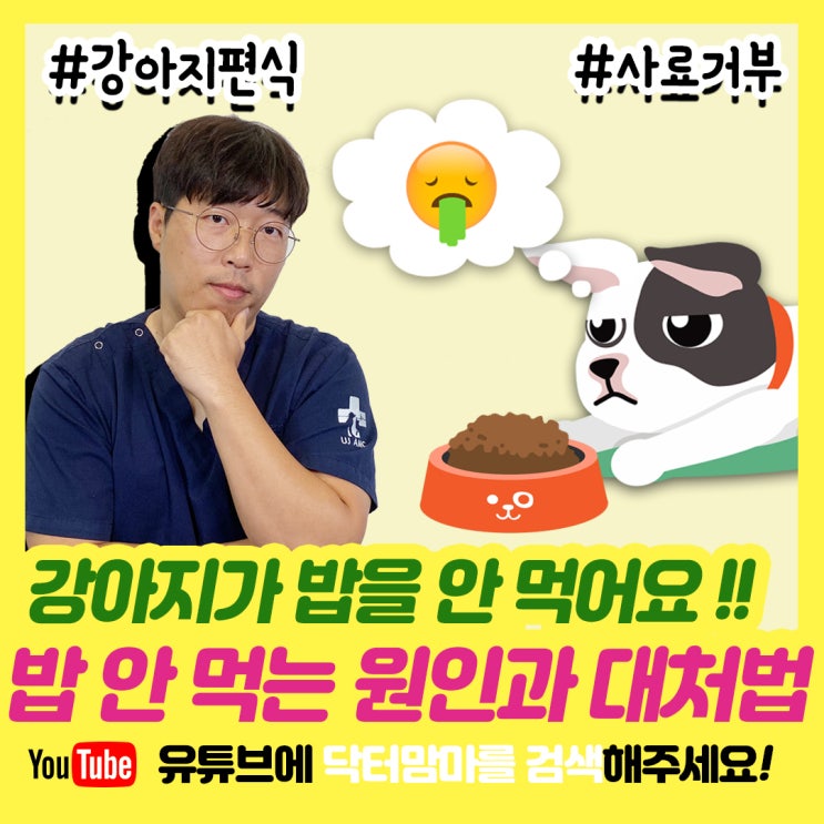  강아지가 밥을 안 먹어요! 사료 안 먹는 강아지의 이유와 훈련 방법