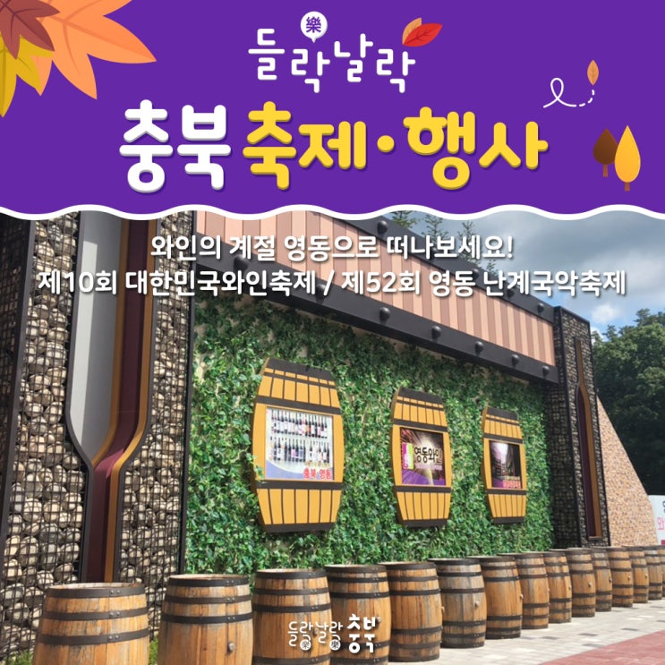  제10회 대한민국와인축제 / 제52회 영동 난계국악축제