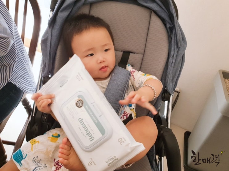  베베숲물티슈도 쓰고! 베베숲범범크림도 쓰는 9개월 슈슈일상. 리얼후기~