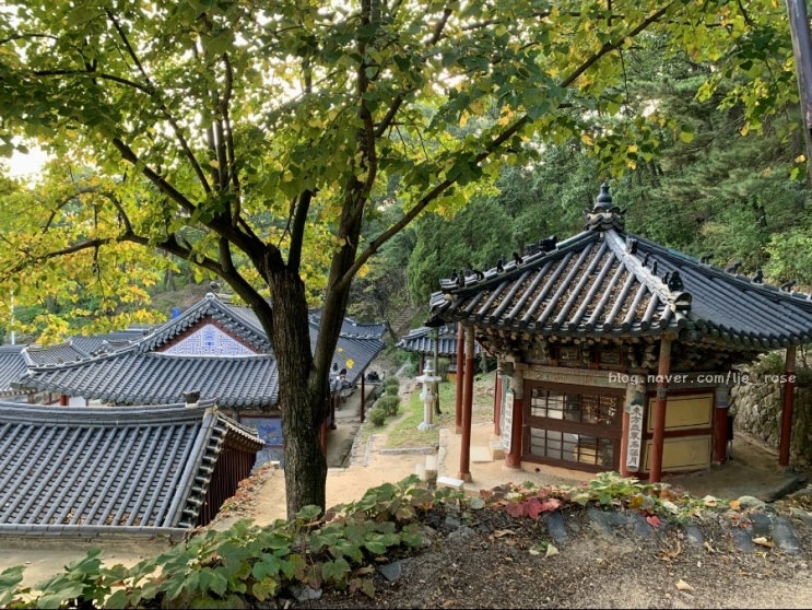  심신을 진정시켜주는 절, 수락산 법흥사