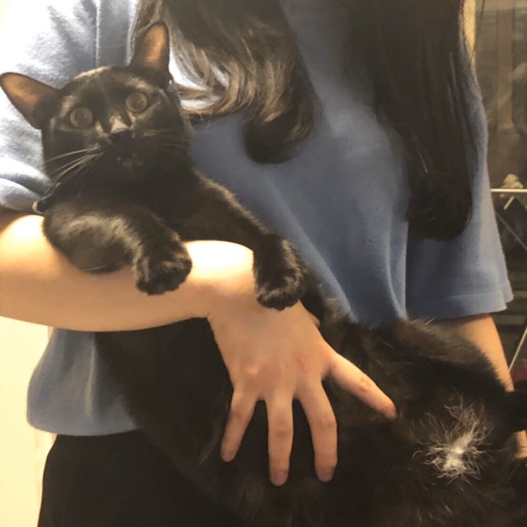  나의 무난한 일상