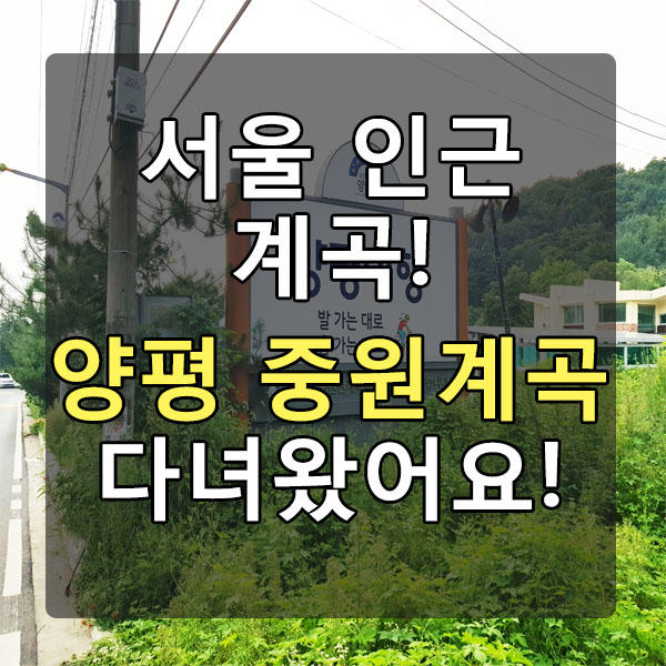  서울 인근 계곡 - 양평 중원계곡 다녀왔어요!