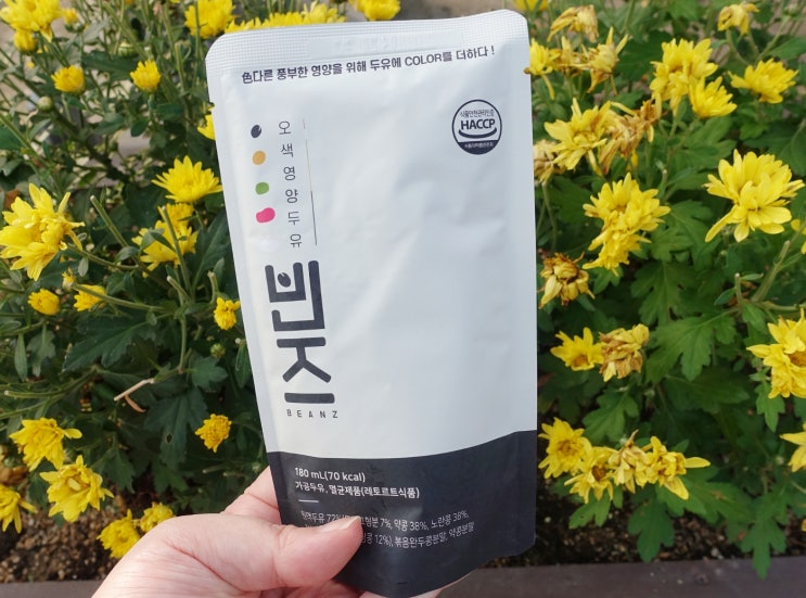  무첨가두유 추천 빈즈 :) 오색영양두유 가득가득
