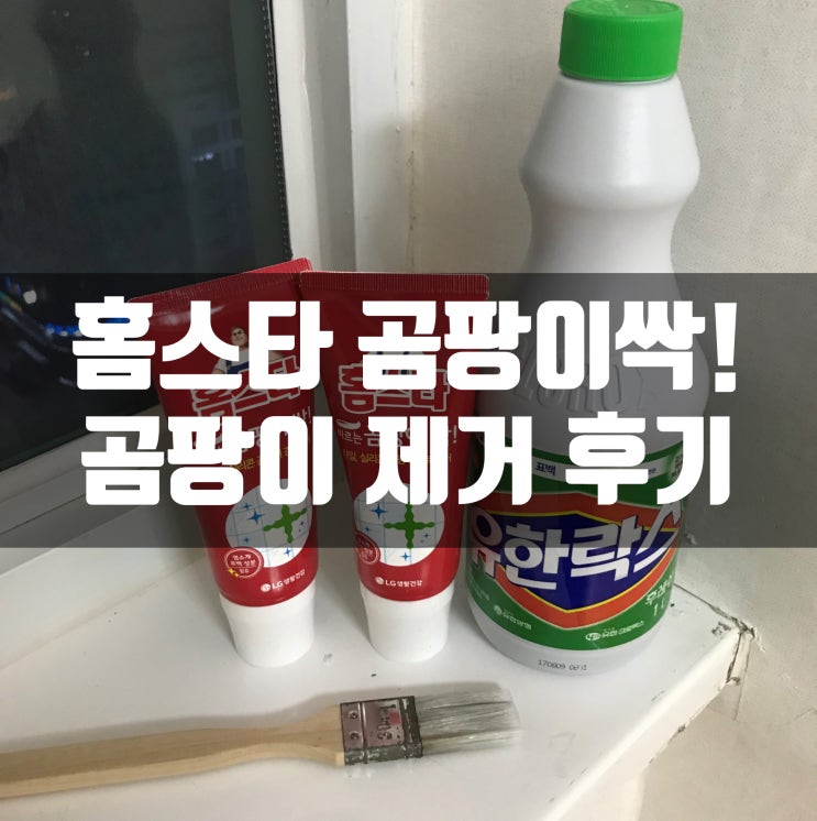  홈스타 곰팡이싹 내돈주고 산 리얼 사용후기(업체X)