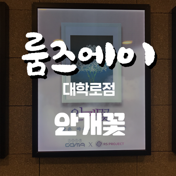  혜화역방탈출 :: 룸즈에이 대학로점 안개꽃 후기 (꽃길)