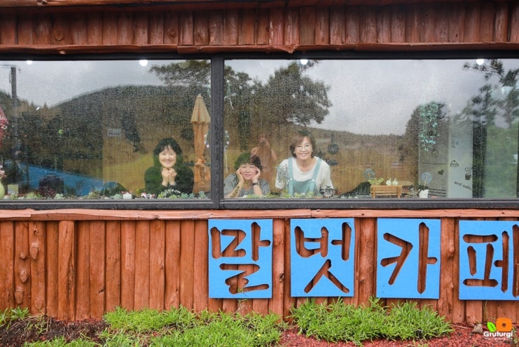  제주 조천 카페, 말벗 카페~