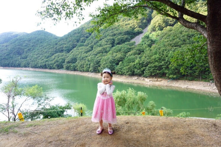  4살 일상 공주에 빠진 도리