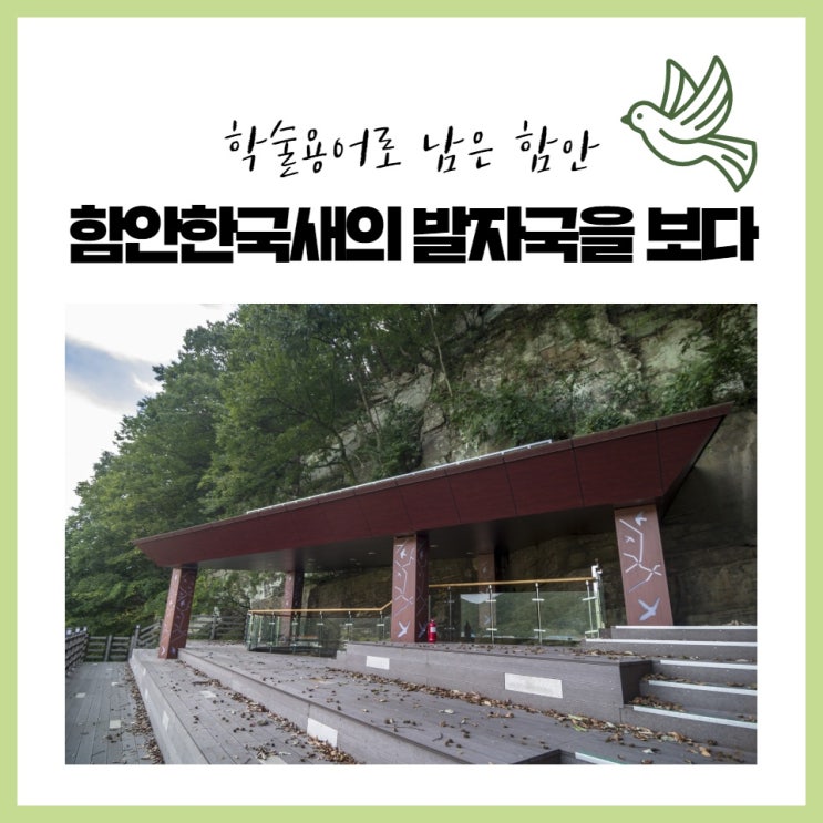 학술용어로 남은 함안의 이름 - 함안한국새의 발자국을 보다.