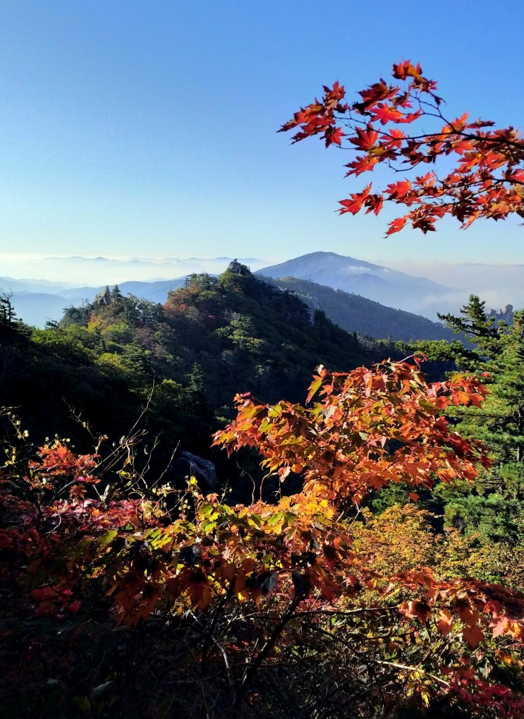  설악산 첫단풍 맞이/곡백운.제단곡