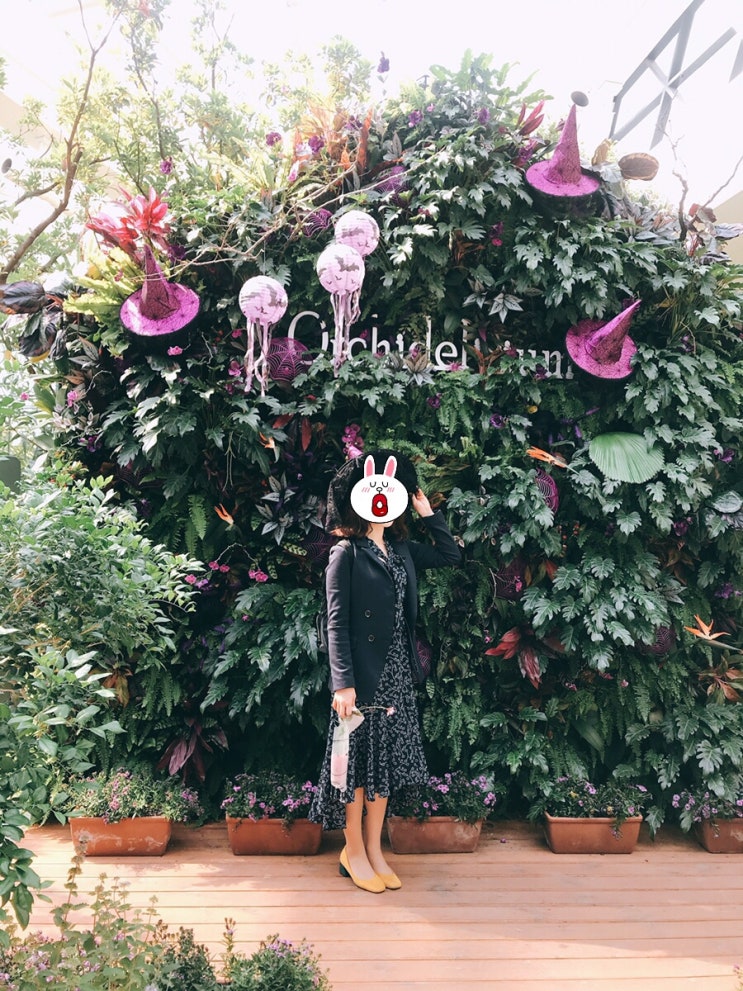 데이트, 나들이 가기 좋은 마곡 서울식물원 (Seoul Botanic Park) 데이트, 나들이 가기 좋은 마곡 서울식물원 (Seoul Botanic Park)