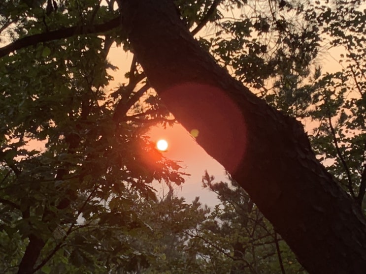  광교산 청계산 산행 광청종주(청광) 등산 코스 완주  - 가을날