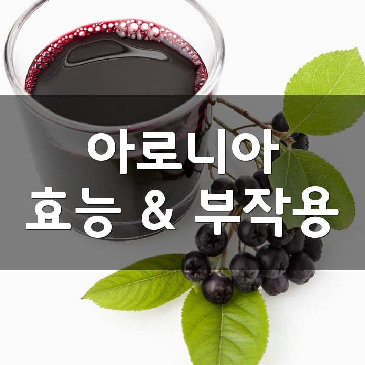  아로니아 (Aronia, 초크베리) 효능, 부작용, 권장량, 제품 순위