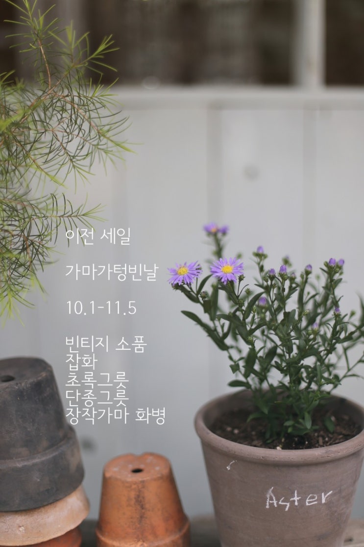  가게이전 세일(10.2-11.5)