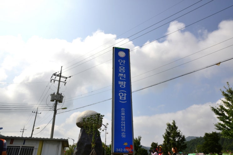  횡성가볼만한곳 안흥 찐빵 마을 십리 코스모스길