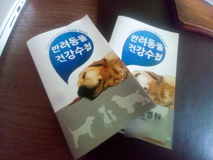  반려견 예방접종//10월 광견병 예방주사//인플루엔자 예방접종