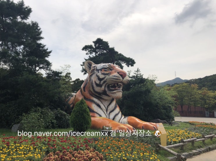 서울근교나들이 / 과천서울대공원 - 첫 동물원 나들이 