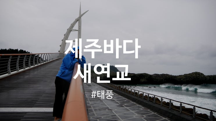  새연교 태풍과 함께 파도타기