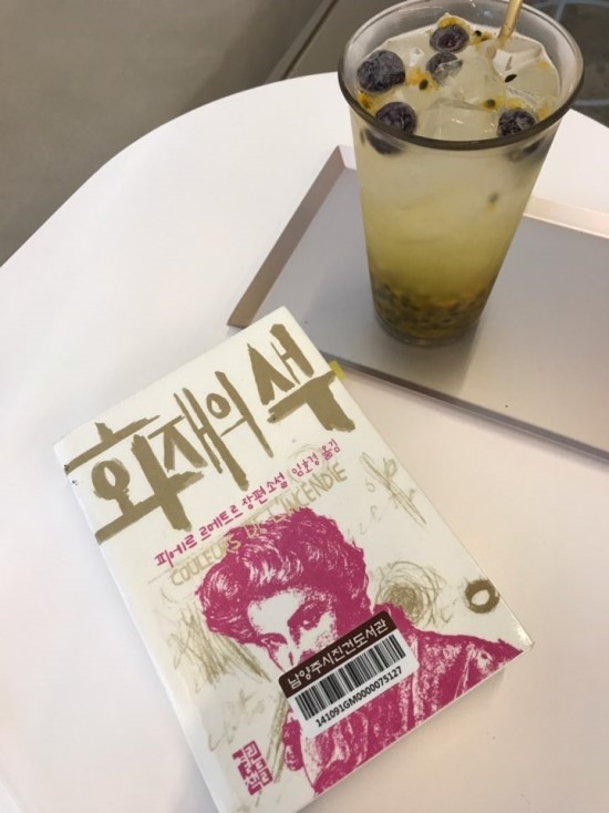  리뷰 몰아서 하기 : 피에르 르메트르 <화재의 색>, 마에카와 토모히로 <산책하는 침략자>, 조남주 <82년생 김지영>, 다카하시 히로키 <배웅불>, 김진명 <몽유도원>