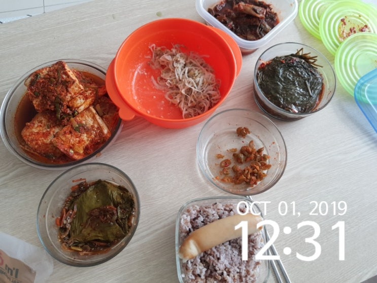 20191001 나바리의 하루살이 : 워킹맘 바리 20191001 나바리의 하루살이 : 워킹맘 바리
