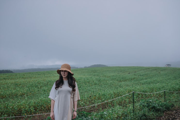  메밀꽃은 링링과 함께 '오라동 메밀꽃밭' - 제주3박4일 '살고싶다 제주'