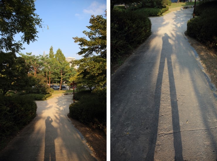 도심 속 나대지의 가을풍경속으로 사부작사부작