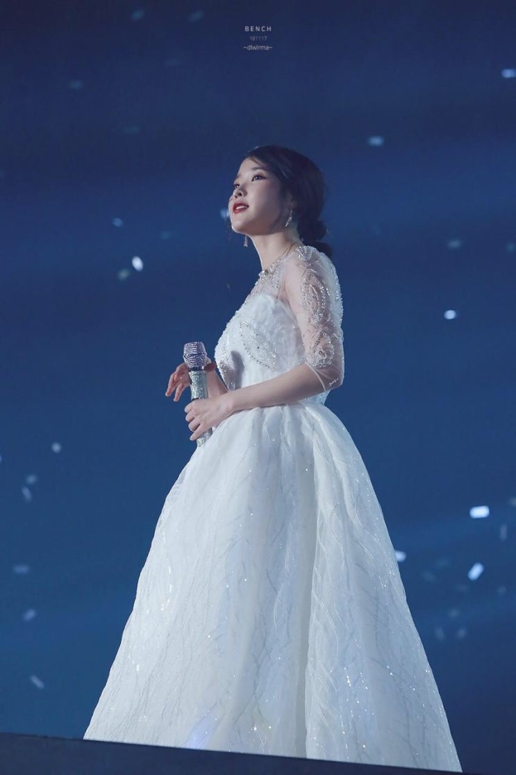  [ I U ] 아이유님 양일 콘서트 가는 만화