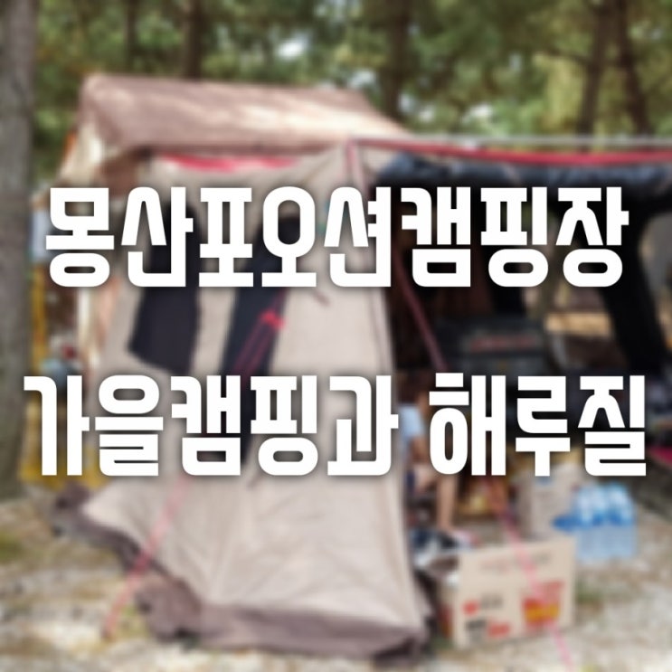  태안 몽산포오션캠핑장에서 가을캠핑과 해루질