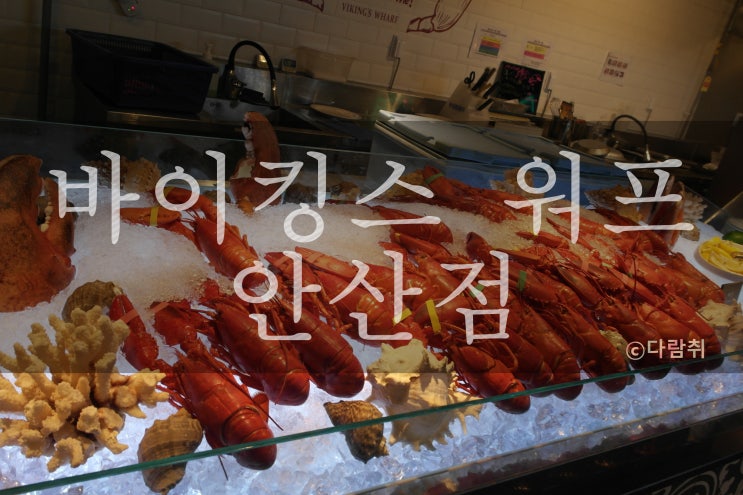 1인 100$ 랍스터 무제한 뷔페 <바이킹스 워프 안산점>