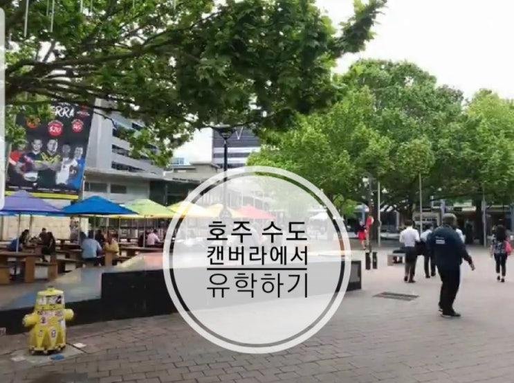 호주 수도 캔버라는 어떤 도시일까요?