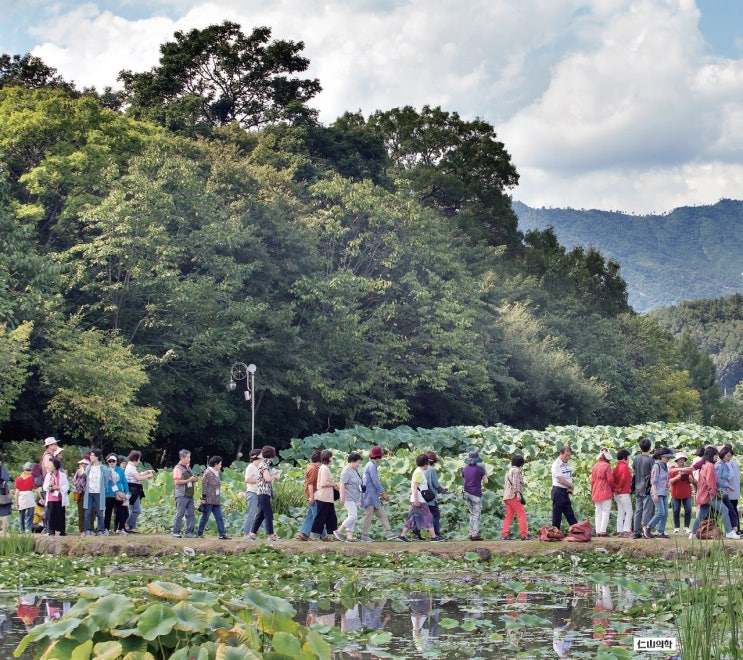  인산가, 283차 1박2일 힐링캠프 "쑥뜸 올려놓고 수면 삼매경 뜨거워서, 힐링돼서 좋아요"