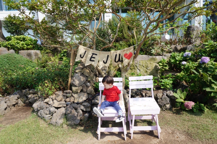  제주도예쁜카페 산방산카페 마노르블랑에서 인생사진 찍어요