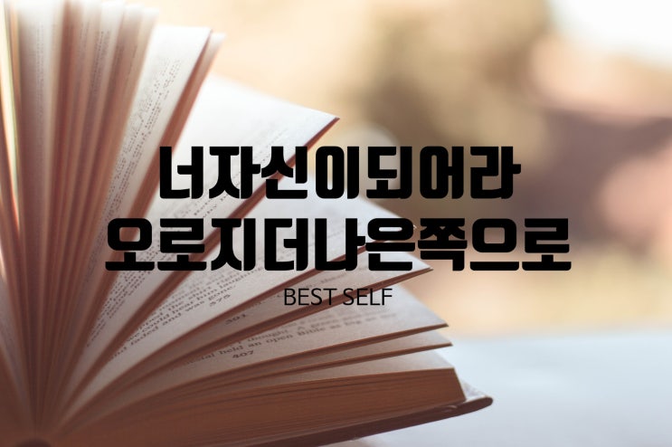  꿈벗성장_ 너 자신이 되라, 오로지 더 나은 쪽으로! 베스트셀프 by 마이크베이어 / 1장 최고의 자아를 찾아라