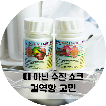 디스커스 검역항을 만들어야 하나 고민되는 하루..