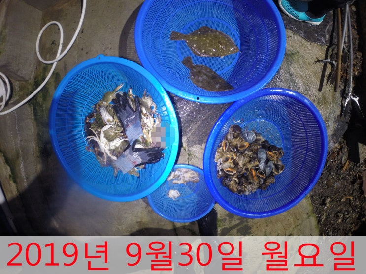 9월 마지막 안면도 해루질 - 2019년 9월30일 월요일