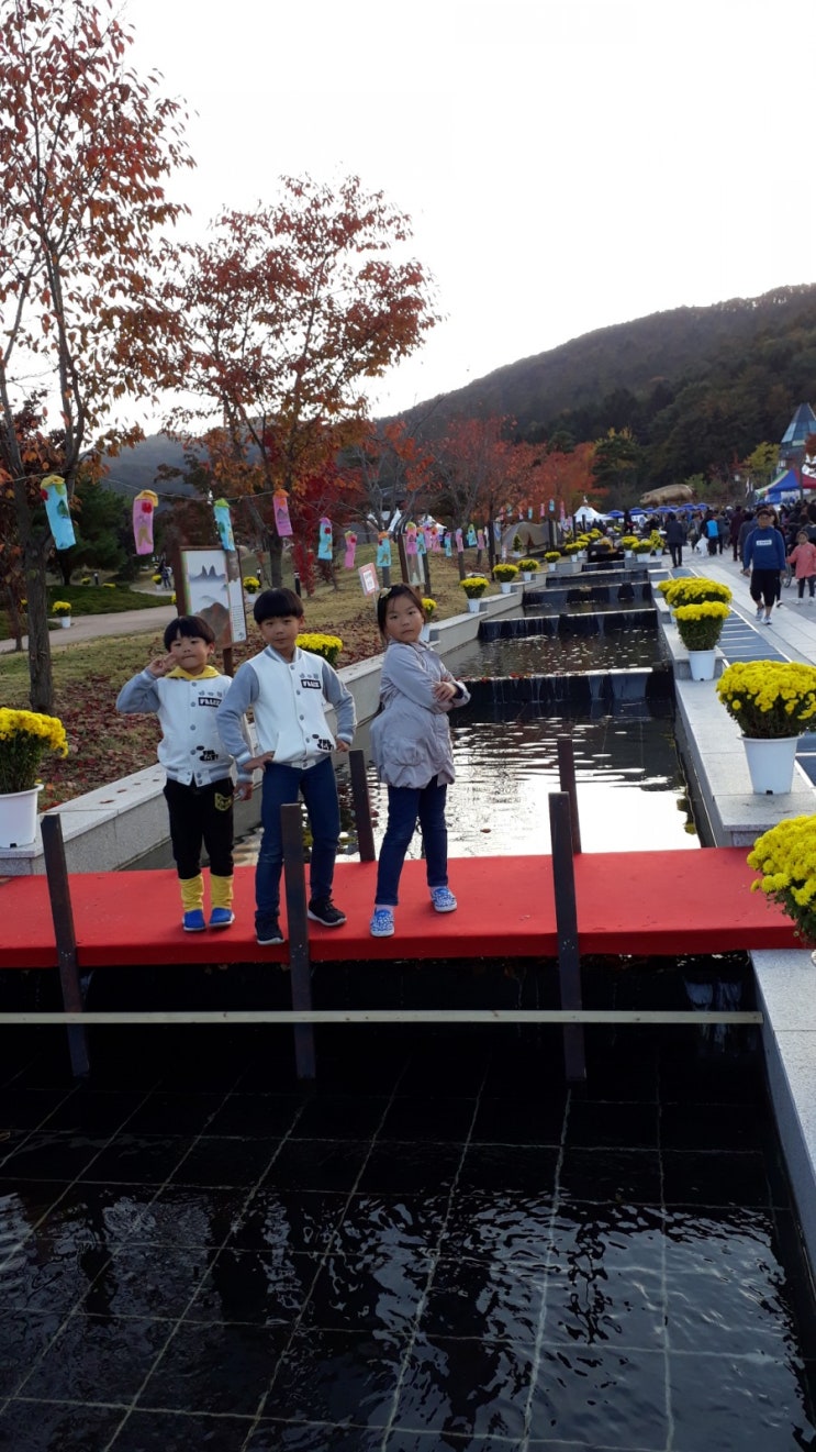 진안 홍삼축제 아이들과 함께 다녀왔어요.