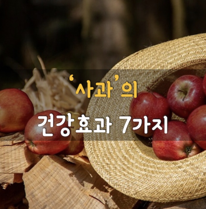  [효능] 사과의 건강 효과 7가지!