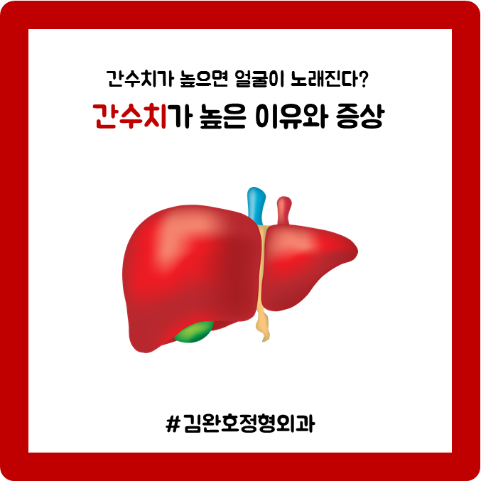  간 수치가 높은 이유와 증상, 간 수치 높으면 얼굴이 노래진다?